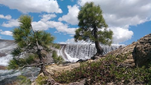 A serene landscape featuring two pine trees beside a waterfall under a blue sky with fluffy clouds.