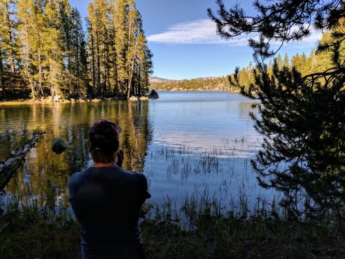 A person stands by a serene lake surrounded by tall trees, reflecting on the calm water under a clear blue sky.