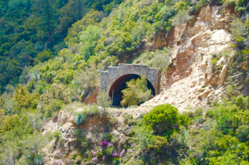 A stone tunnel entrance nestled in a lush, green hillside with rocky terrain and blooming plants nearby.