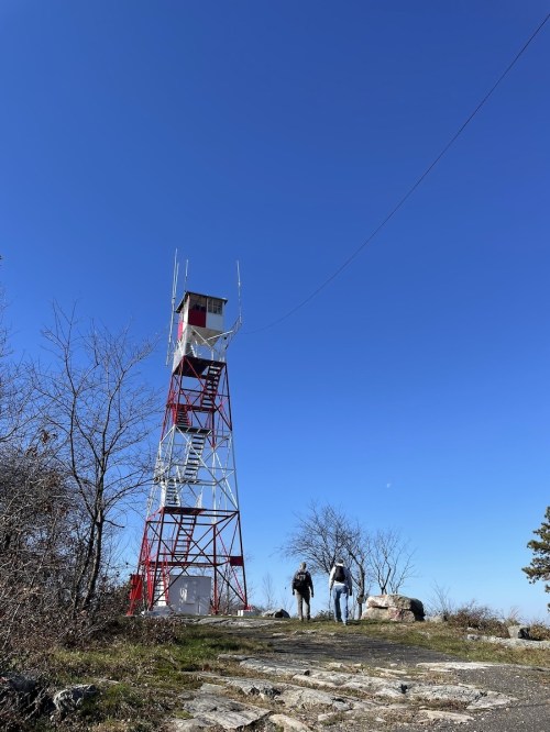 Two people walk towards a tall, red and white fire tower against a clear blue sky, surrounded by sparse trees.