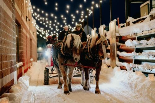 A horse-drawn sleigh rides through a snowy path illuminated by string lights at night.