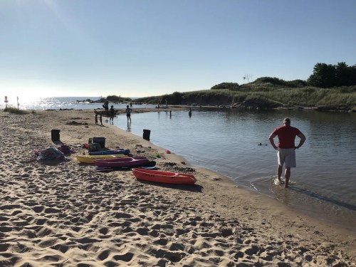 A sandy beach with colorful kayaks, people enjoying the water, and a clear sky in the background.