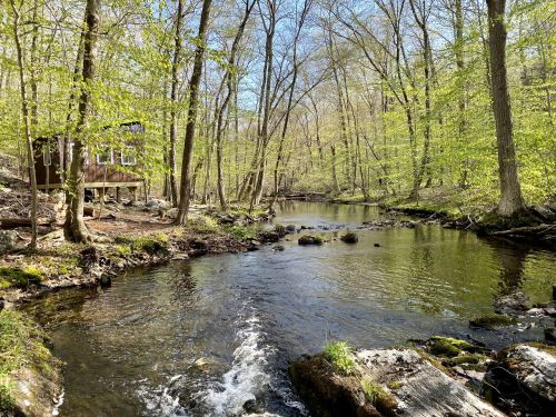 A serene stream flows through a lush green forest, with a wooden cabin visible in the background.