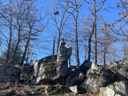 A person stands on a large rock among bare trees against a clear blue sky.