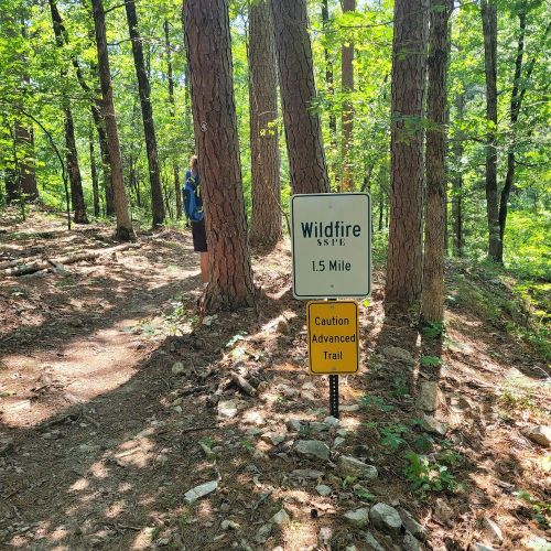 Sign indicating a 1.5-mile wildfire trail, with a caution for advanced hikers, surrounded by trees in a forest.
