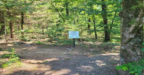A sign reading "Little Brother" marks the entrance to a trail in a wooded area with lush green trees.