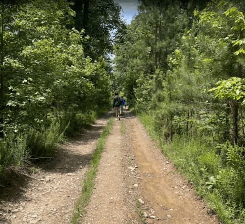 Two people walking on a dirt path surrounded by lush greenery and trees.