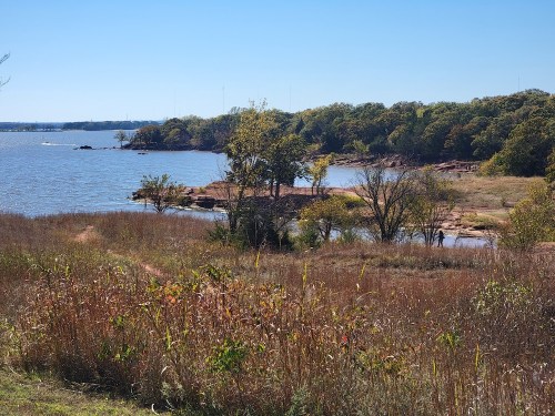 A serene lakeside view with grassy land, trees, and a clear blue sky in the background.