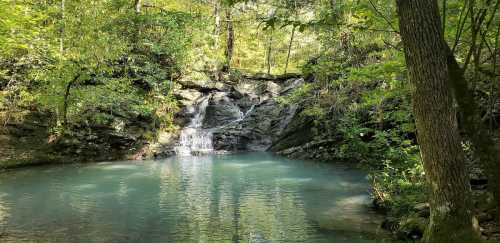 A serene waterfall cascades into a tranquil pool, surrounded by lush green trees and rocky terrain.