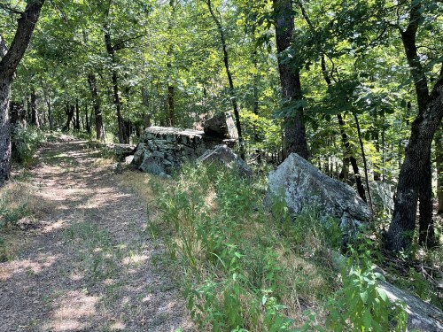 A wooded path with sunlight filtering through trees, featuring scattered rocks and greenery along the trail.