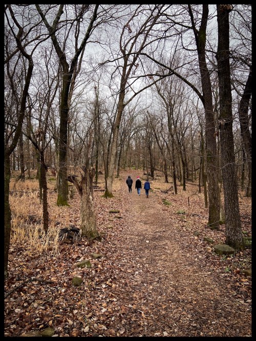 Four people walking along a wooded trail surrounded by bare trees and fallen leaves on a cloudy day.