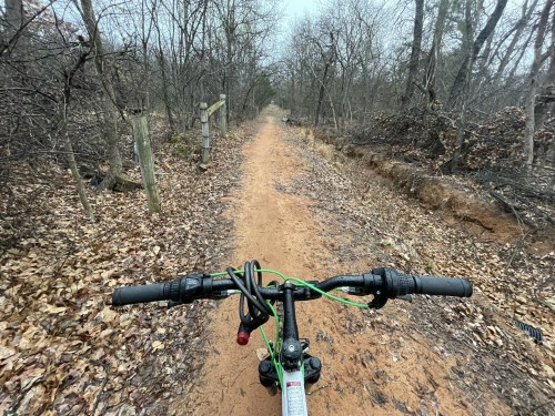 View from a bike handlebar on a dirt trail surrounded by bare trees and fallen leaves on a cloudy day.