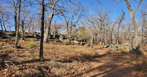 A winding trail through a wooded area with bare trees and rocky outcrops, surrounded by fallen leaves.