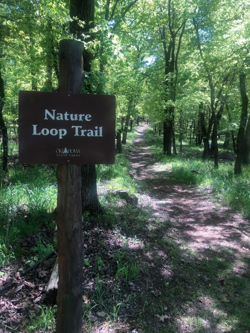 A wooden sign reading "Nature Loop Trail" beside a winding path through a lush, green forest.