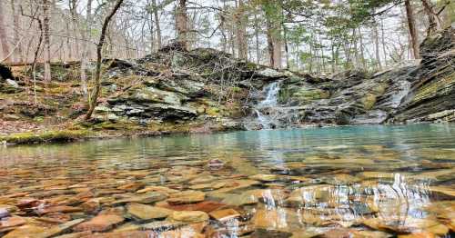 A serene forest scene featuring a clear pool of water with visible stones, and a small waterfall in the background.