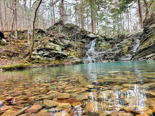 A serene forest scene featuring a clear pool of water with visible stones, surrounded by rocky terrain and trees.