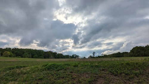 A wide field under a cloudy sky, with green grass in the foreground and trees in the background.