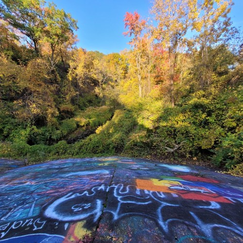 A vibrant landscape with colorful autumn foliage and graffiti-covered ground under a clear blue sky.