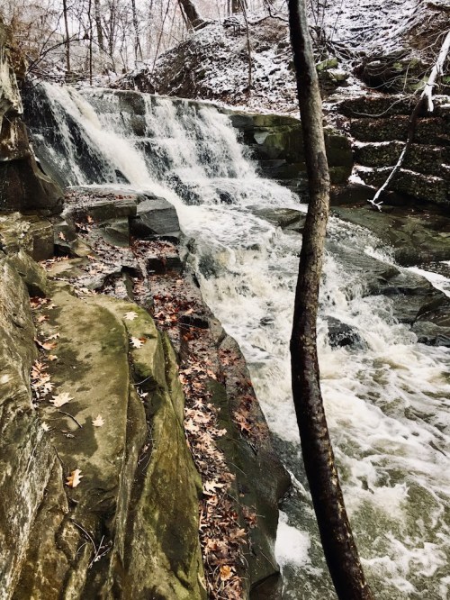 A cascading waterfall flows over rocky terrain, surrounded by trees and scattered autumn leaves.
