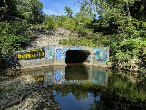A concrete tunnel entrance surrounded by greenery, with graffiti art and a calm water reflection in front.