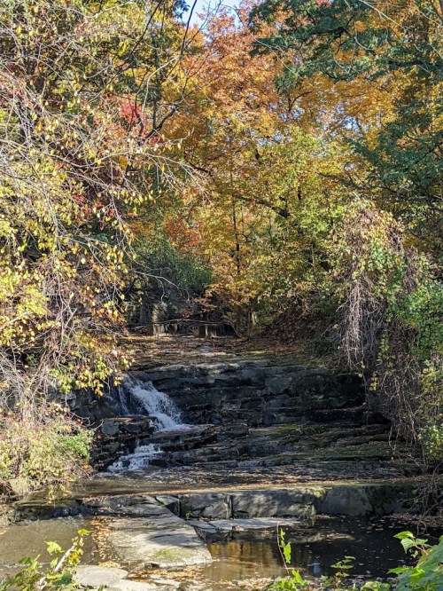 A serene waterfall cascades over rocks, surrounded by vibrant autumn foliage in a peaceful forest setting.