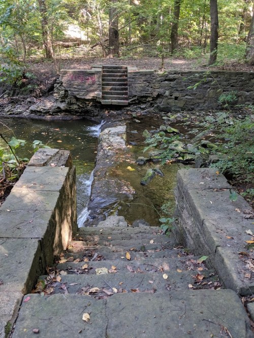 Stone steps lead down to a creek, surrounded by lush greenery and trees in a serene forest setting.