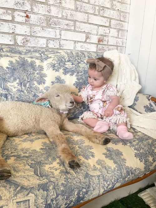 A baby girl in a floral dress sits on a couch, gently petting a lamb beside her.