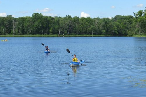 Two people kayaking on a calm lake surrounded by lush green trees under a clear blue sky.