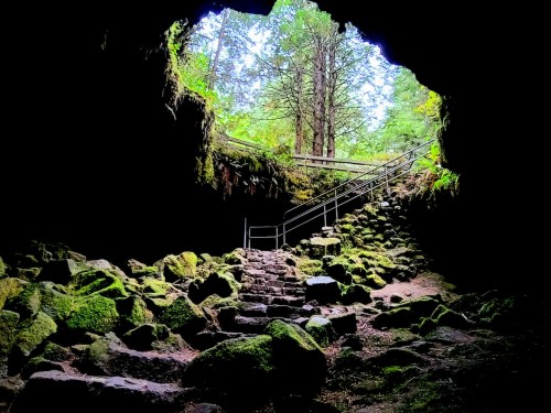 A cave entrance with stone steps leading up, surrounded by moss-covered rocks and trees in the background.