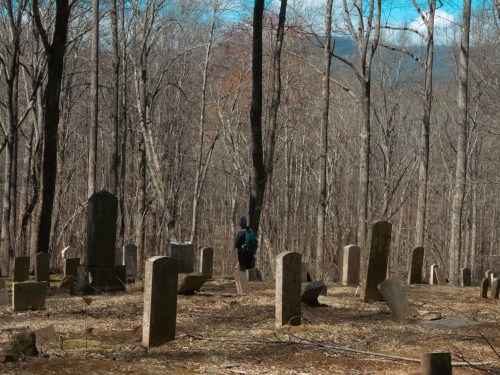 A person walks through a sparse, wooded cemetery with weathered gravestones under a clear blue sky.