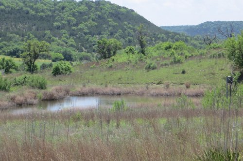 A serene landscape featuring a small pond surrounded by lush greenery and rolling hills under a clear blue sky.