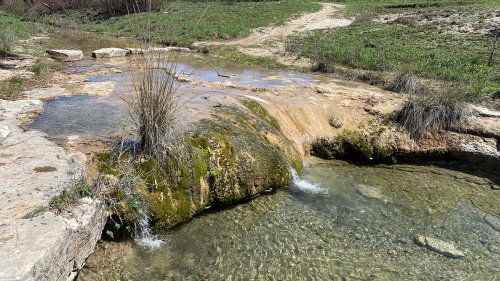 A serene stream flows over a mossy rock, surrounded by green grass and a dirt path in a natural landscape.