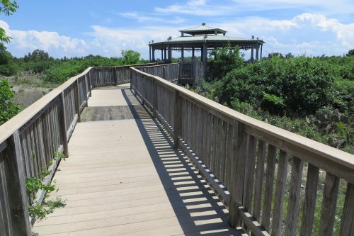 A wooden boardwalk leads to a gazebo surrounded by lush greenery under a blue sky with scattered clouds.