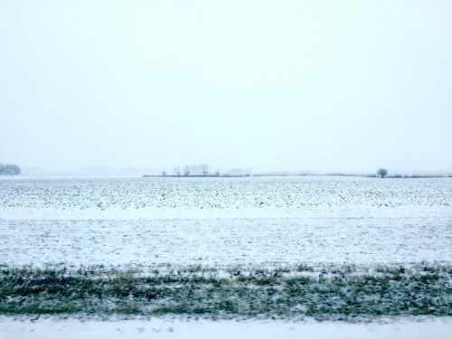 A snowy landscape with a flat field and distant trees, under a gray, overcast sky.