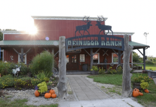 A red barn with a sign reading "Reindeer Ranch," surrounded by greenery and pumpkins in a rural setting.
