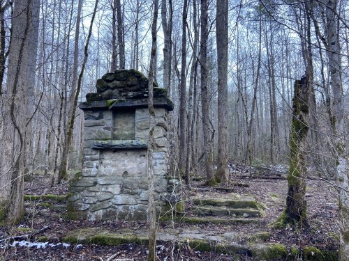 A weathered stone structure stands in a sparse forest, surrounded by bare trees and scattered leaves.