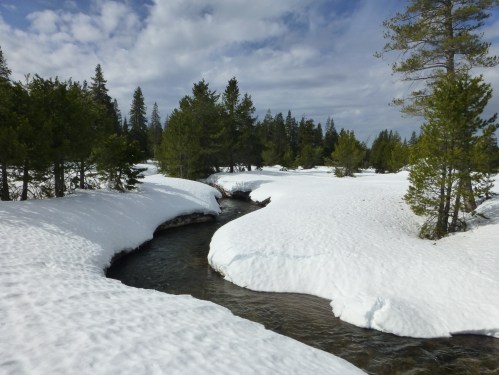 A winding stream flows through a snowy landscape, surrounded by evergreen trees under a partly cloudy sky.