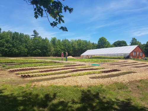 Two people stand in a lush, organized garden with rows of plants, beside a greenhouse under a clear blue sky.