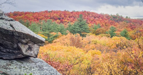 A rocky outcrop in the foreground overlooks a vibrant autumn forest with red, orange, and yellow foliage.
