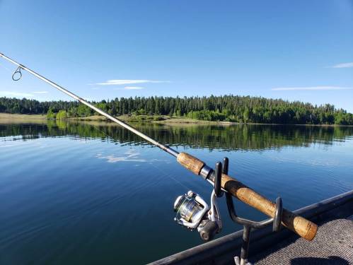 A fishing rod rests on a boat, with calm water and a forested shoreline in the background under a clear blue sky.