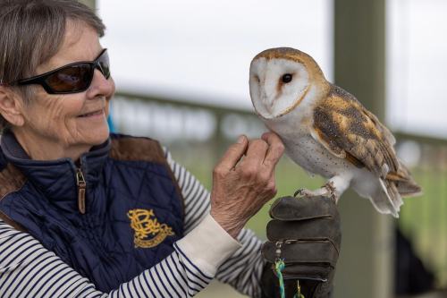 A woman in sunglasses gently interacts with a barn owl perched on her gloved hand.
