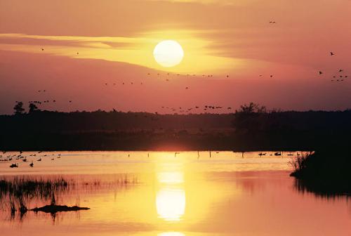 A serene sunset over a calm lake, with silhouettes of birds flying across the colorful sky.