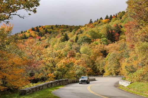 A car drives along a winding road surrounded by vibrant autumn foliage in a mountainous landscape.