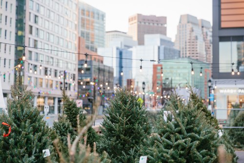 A festive urban scene with Christmas trees in the foreground and city buildings decorated with lights in the background.