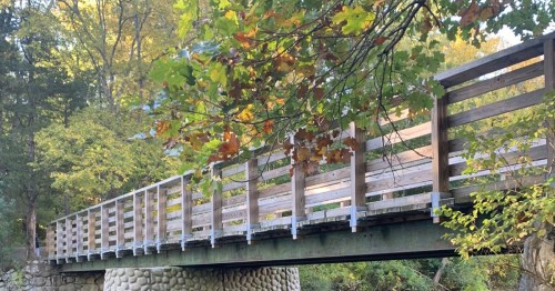 A wooden bridge spans a small stream, surrounded by trees with autumn leaves.