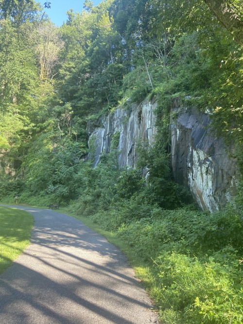 A winding path beside a rocky cliff covered in greenery, with sunlight filtering through the trees above.