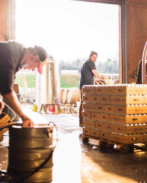 Two workers in a brewery, one handling equipment and the other organizing barrels in a sunlit warehouse.
