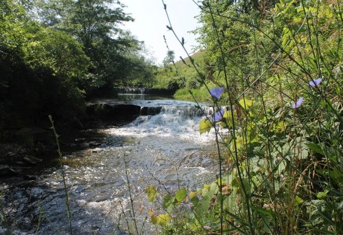 A serene river flows through a lush green landscape, with gentle waterfalls and wildflowers in the foreground.