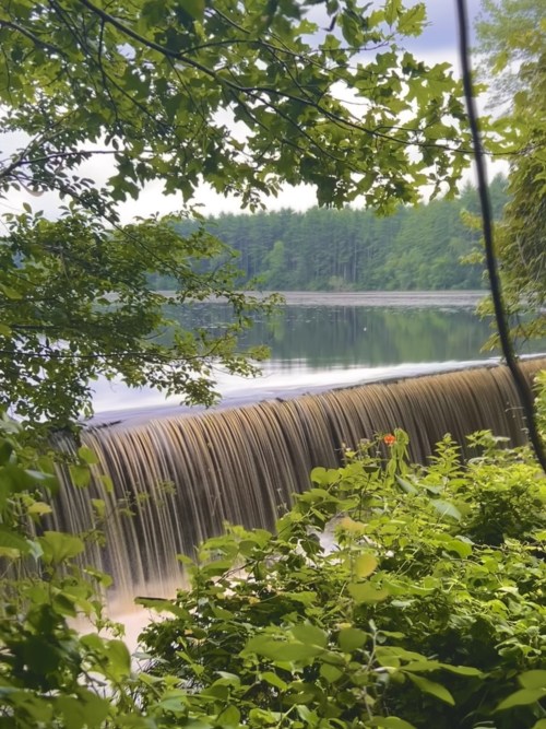 A serene view of a waterfall cascading over a dam, surrounded by lush greenery and a calm lake in the background.