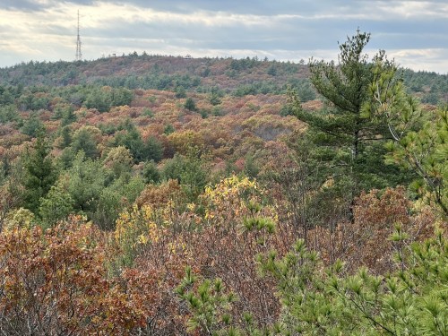 A scenic view of a forested landscape in autumn, showcasing vibrant fall foliage and a distant radio tower.